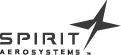 (SPIRIT COMPANY LOGO)